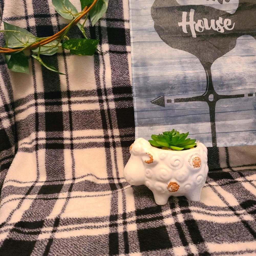 Distressed Sheep with artificial succulent